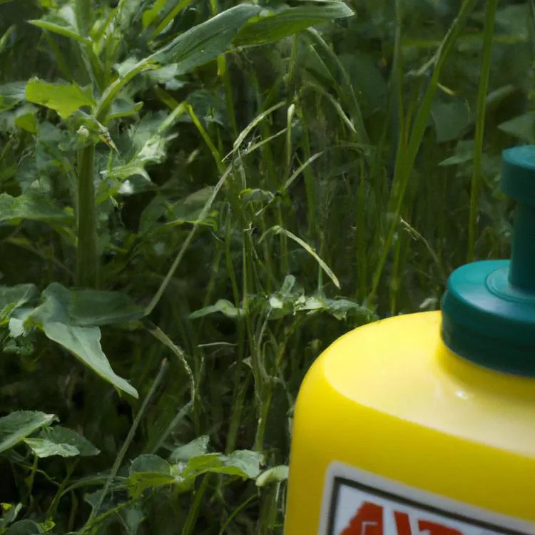 Chwasty w ogrodzie – jak pozbyć się ich raz na zawsze?