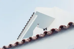 Blachodachówki panelowe